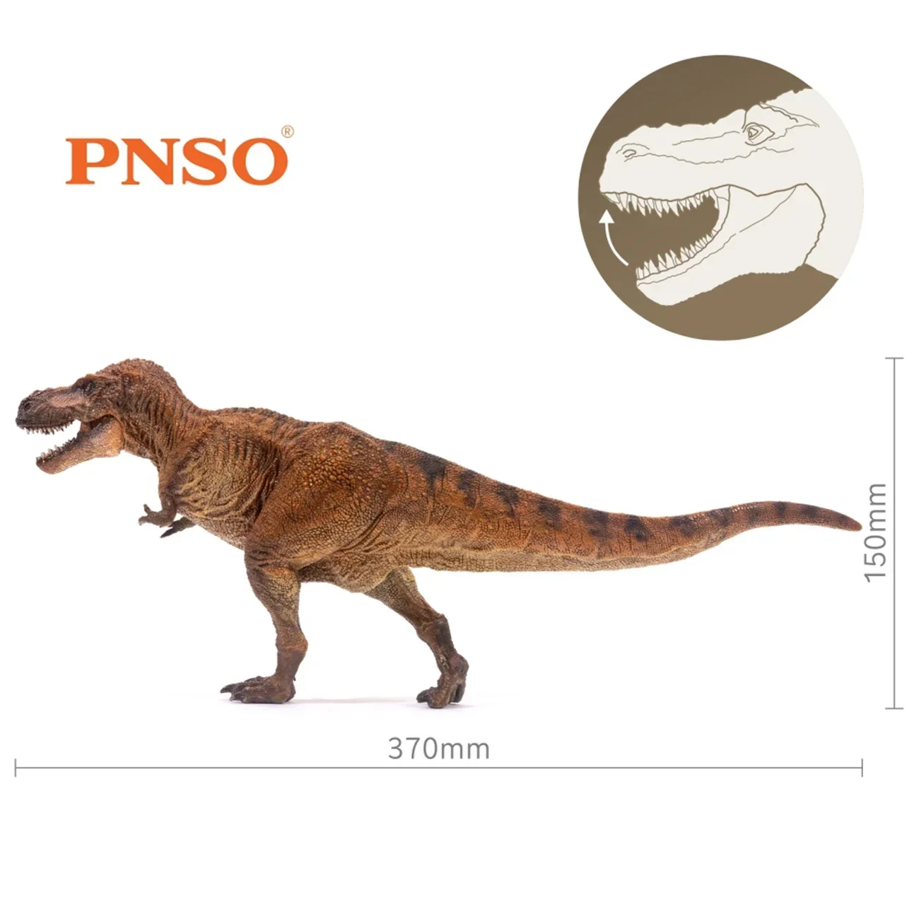 PNSO-figura de Tiranosaurio Rex Wilson para adulto, modelo de dinosaurio tiranosauridae Jurásico t-rex, regalo de colección de animales