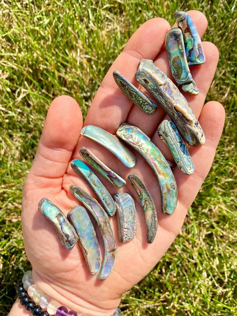 Polierte Abalone-Muschelringe - Abalone-Muschelsplitter - In verschiedenen Größen erhältlich - Regenbogen-Abalone-Muschel