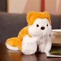 shiba