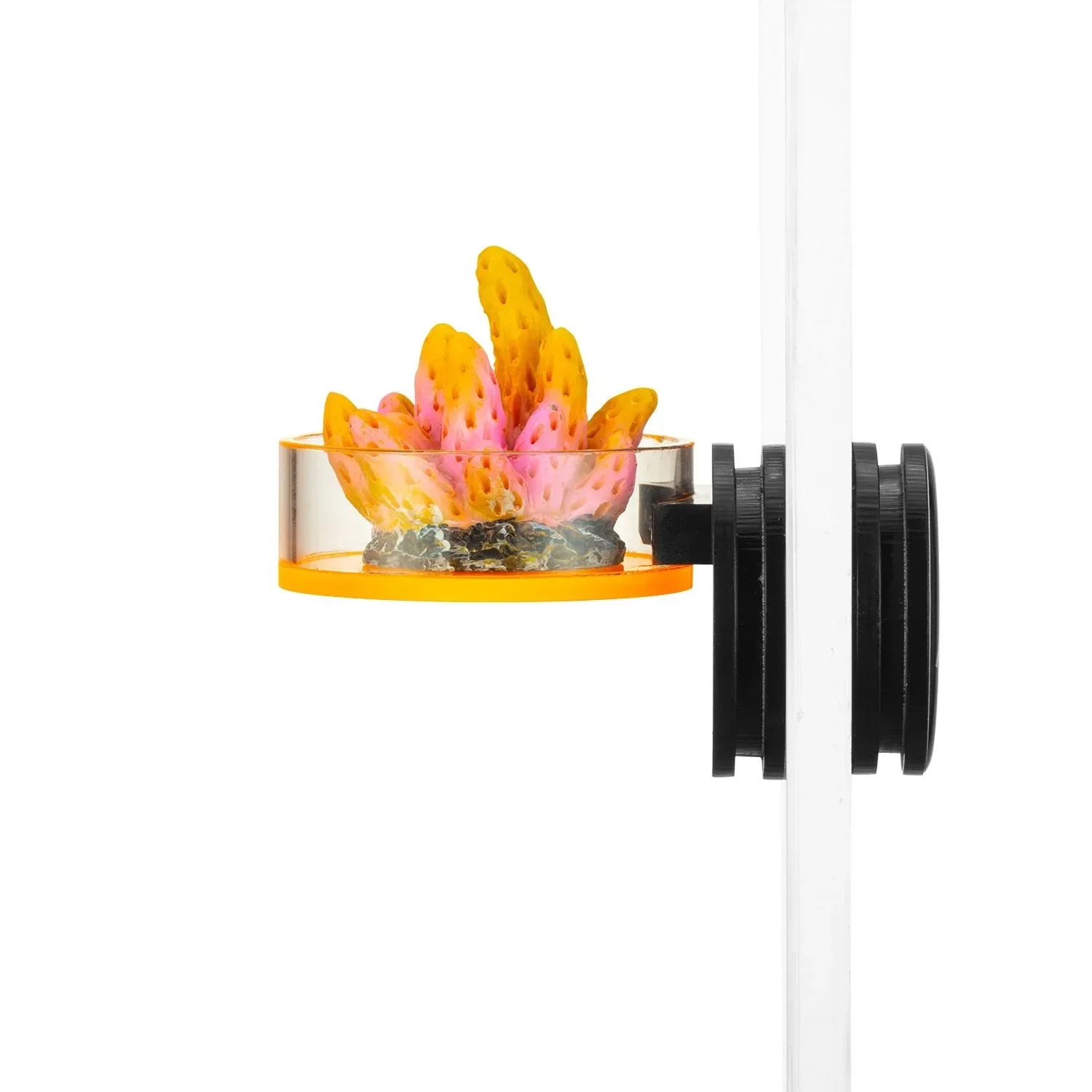 

Aquarium Coral viewing platform, bracket,SPS magnetic tray.Applicable glass is less than 15mm