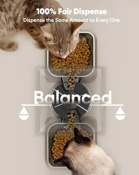 Automatic Cat Feeder for 2 Cats, 20 Cups/5L Automatic Cat Food Dispenser for Small Pets Indoor, Timed Cat Feeder for Dr 3