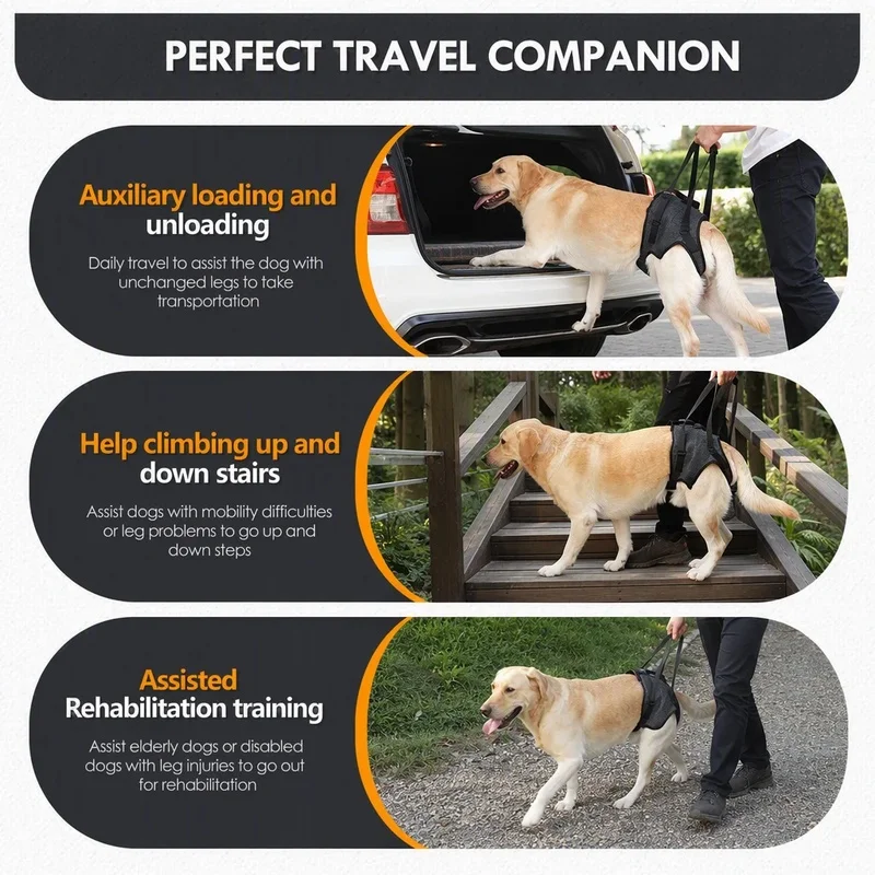 Dog Spinal Support Harness IVDD Arthritis Rehabilitation Lift Sling for Stairs Car Durable Polyester