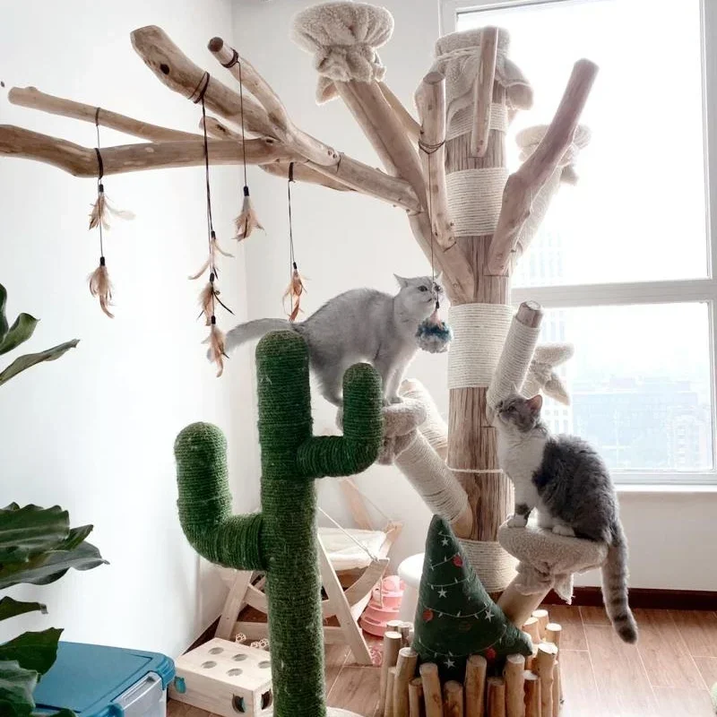 

Кофейня TAO Dead Tree Cat: простая и стильная декорация из стволов деревьев, украшение для окна, кошки, карабкающиеся по ветвям деревьев.