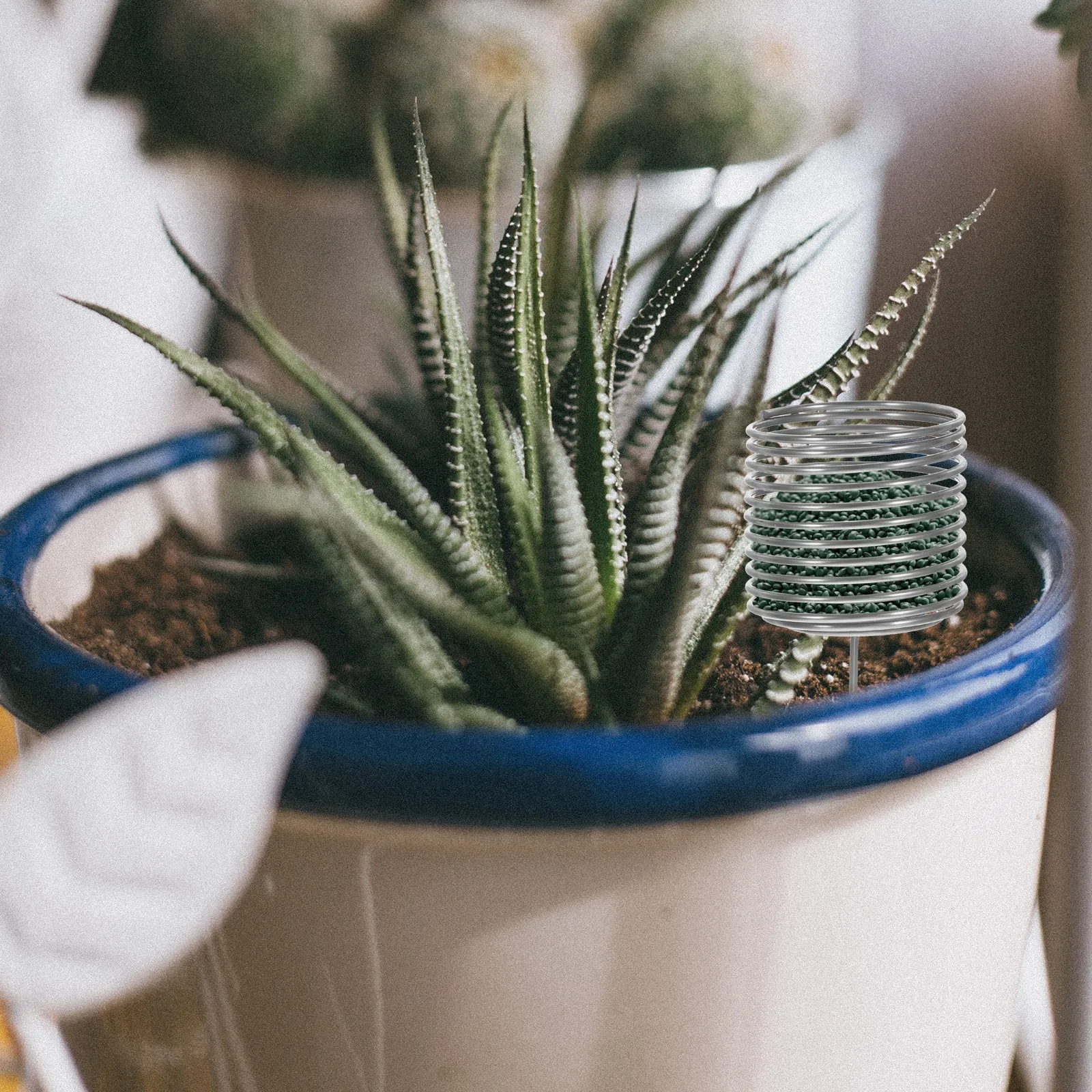 10 Cestas de Acero Inoxidable para Fertilizantes de Liberación Lenta para Plantas Bonsái, Contenedor de Fertilizante, Accesorio de Jardinería para Plantas