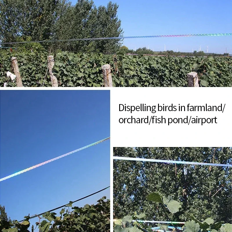 50/80 متر مكافحة الطيور حمامة طارد الشريط الطيور تخويف الشريط وامض عاكس الشريط على الوجهين الطيور مبيد الحشرات مكافحة الآفات الشريط