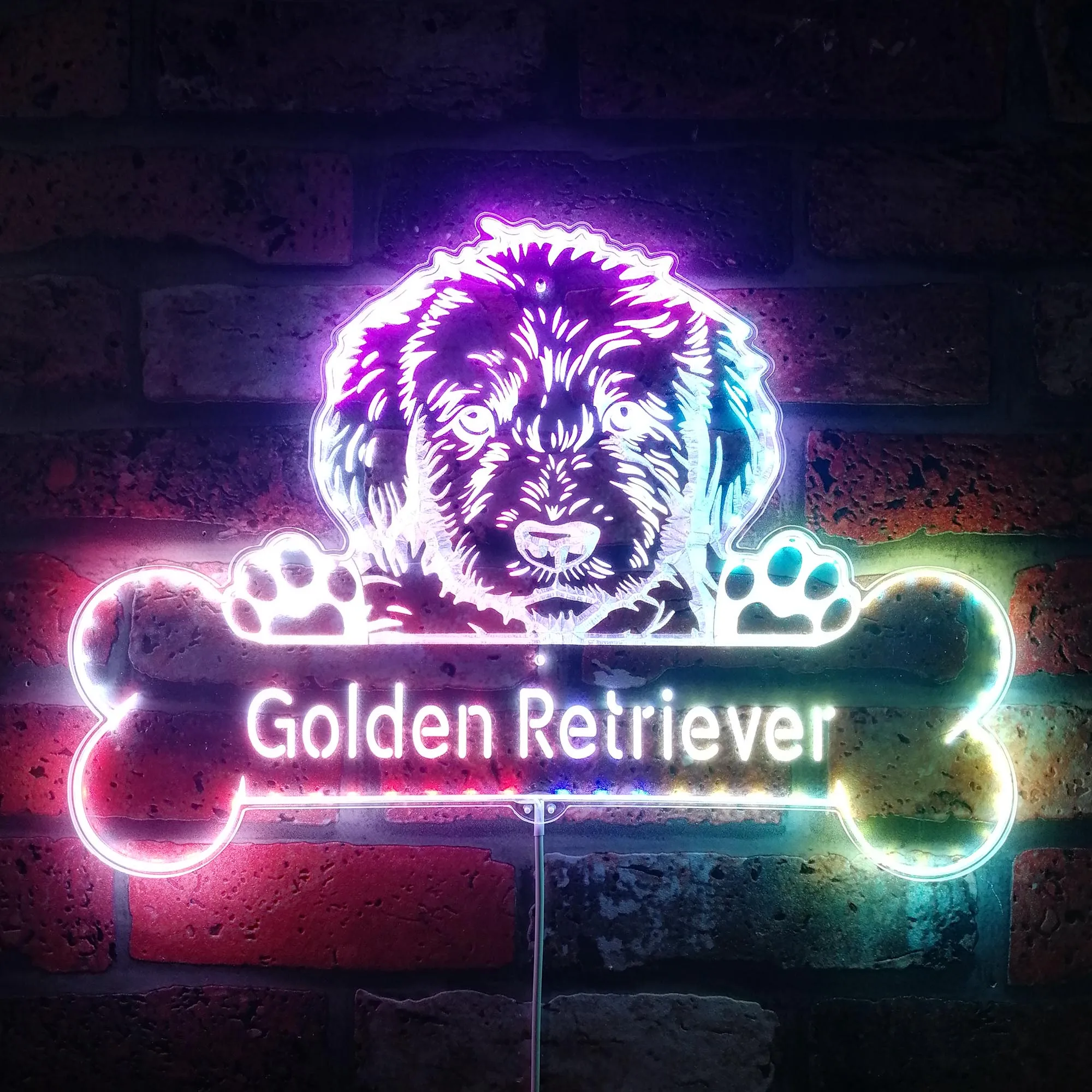 

Name Personalize Golden Retriever Glam Led Neon Sign st06-fnd-p0073-tm