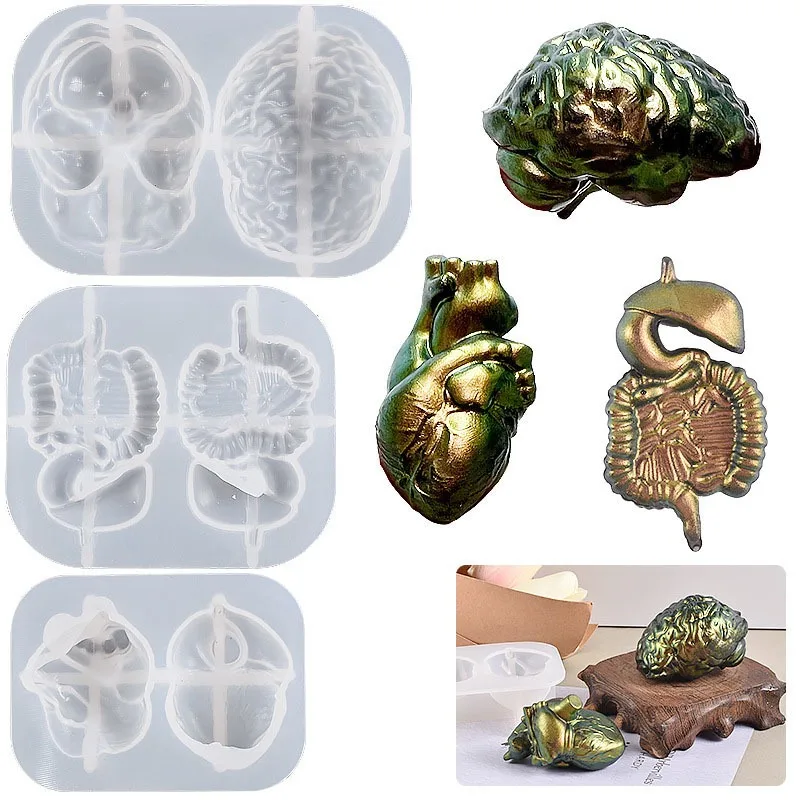 Molde de resina con colgante de órgano 3D humano, joyería hecha a mano, 3 dimensiones, llavero, cerebro, corazón