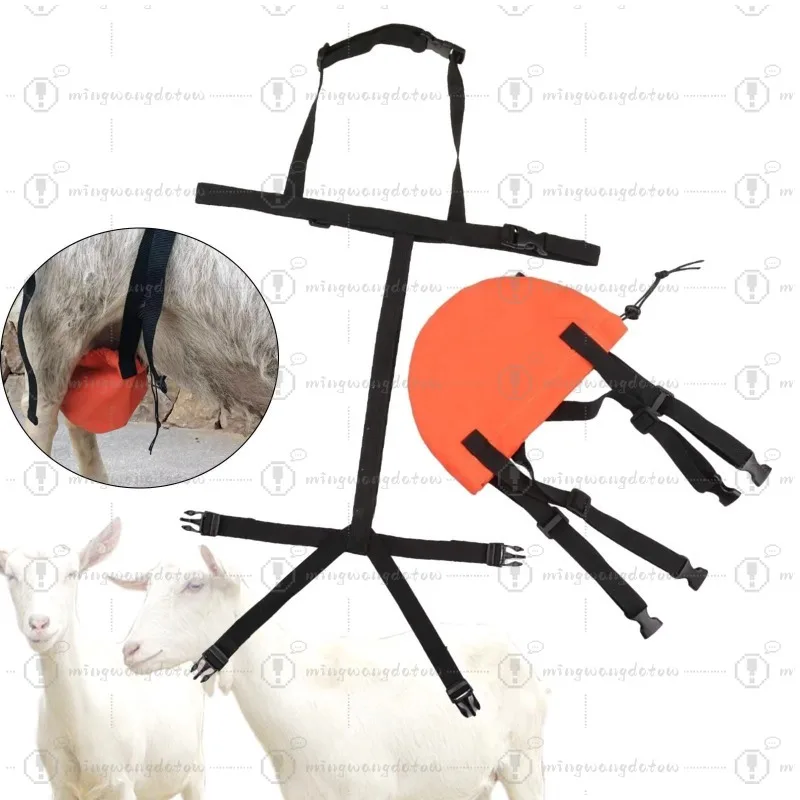 Goat Braudder Bag Goat Bra Correct Saggy Udders Chest Strap Sheep Goats Protector Farm Prevent Sagging Harness Breast Support