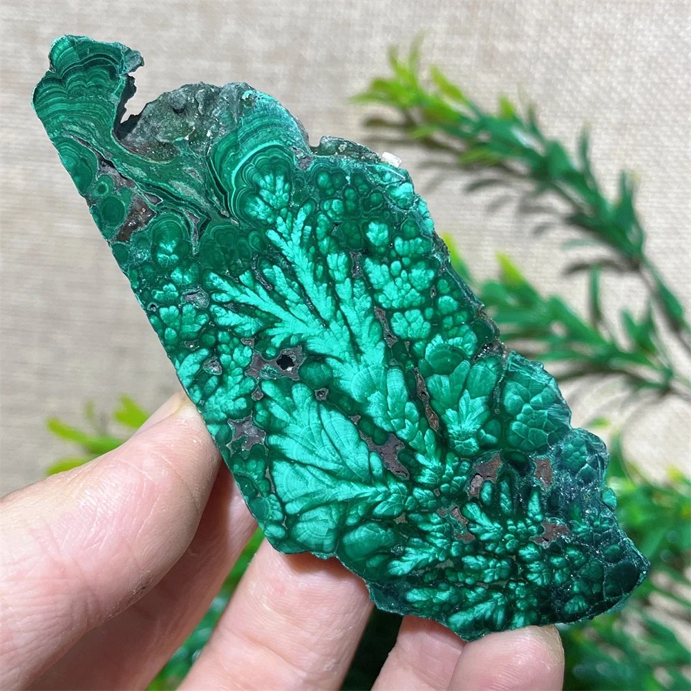 Green Malachite Salb Slice Quartz Stone Crystal Natural Quartz Reiki Minerals Healing Gemstones Stripe Home Decoration