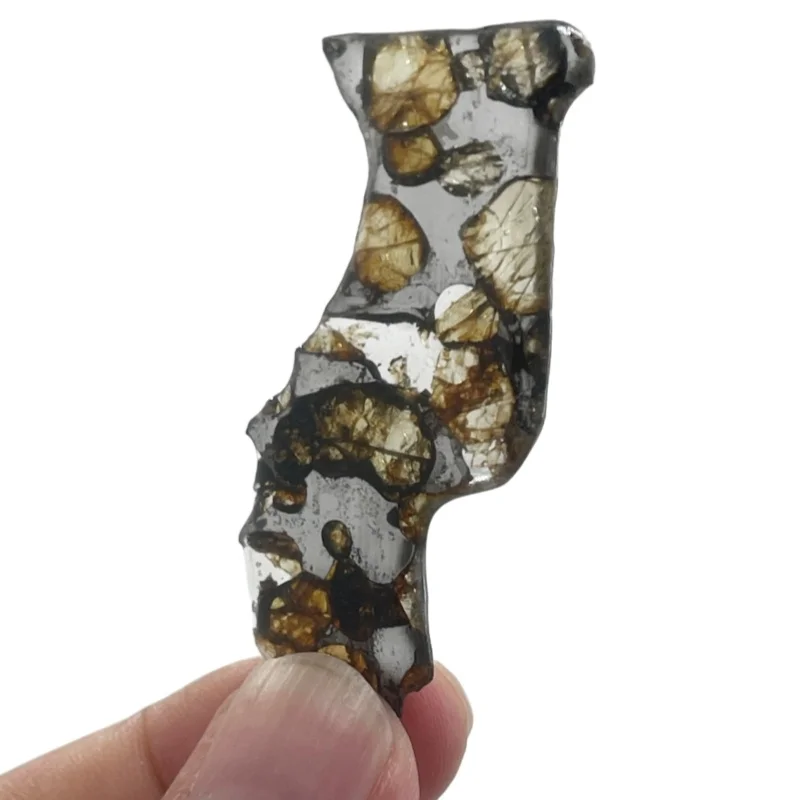 Seymchan Pallasite Meteorite Curved Irregular Polished Slice Natural Olivine Crystal Cosmic Mineral Specimen Space Rock CA113