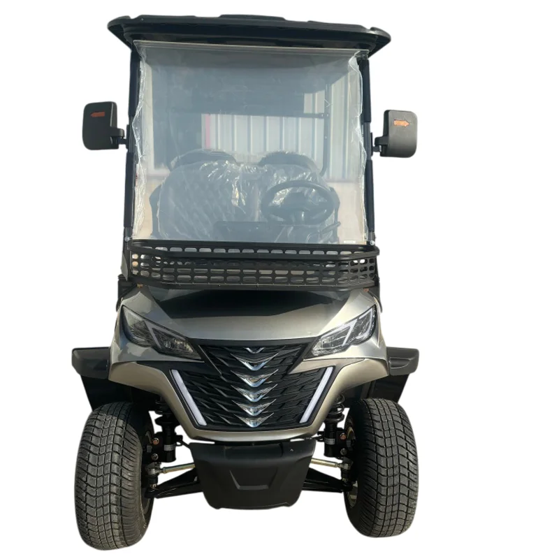 

Новая литиевая батарея 48 В/72 В, 2 4-местных багги для гольфа, внедорожная электрическая охотничья тележка для гольфа