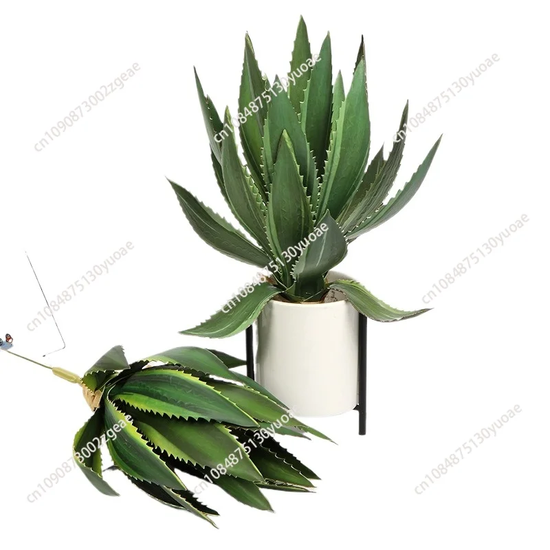 Simulation Sisal Al…