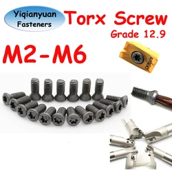 Yiqianyuan M2-M6 Grade 12.9 Alloy Steel Torx Screw Mushroom Head Insert CNC Milling Blade Cutter Knife Screws for Hardware Tools