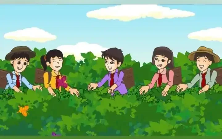 

Gearbox Complete Set Drive & Diff Gear for 1/10 HSP 1:10 RC Car Parts 02024 02051 02030 03015 94123 94106 94107 94108