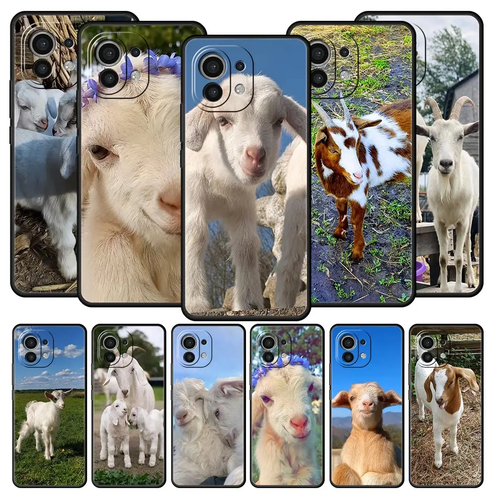 Cartoon Cute Goat P… - image