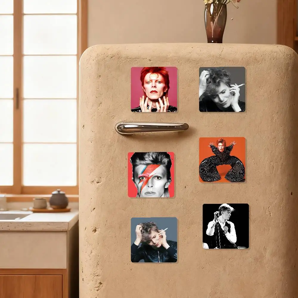 Singer D-David B-Bowie Refrigerator Magnets For Dishwasher/ Refrigerator/ Freezer, Whimsical Kitchen Decor