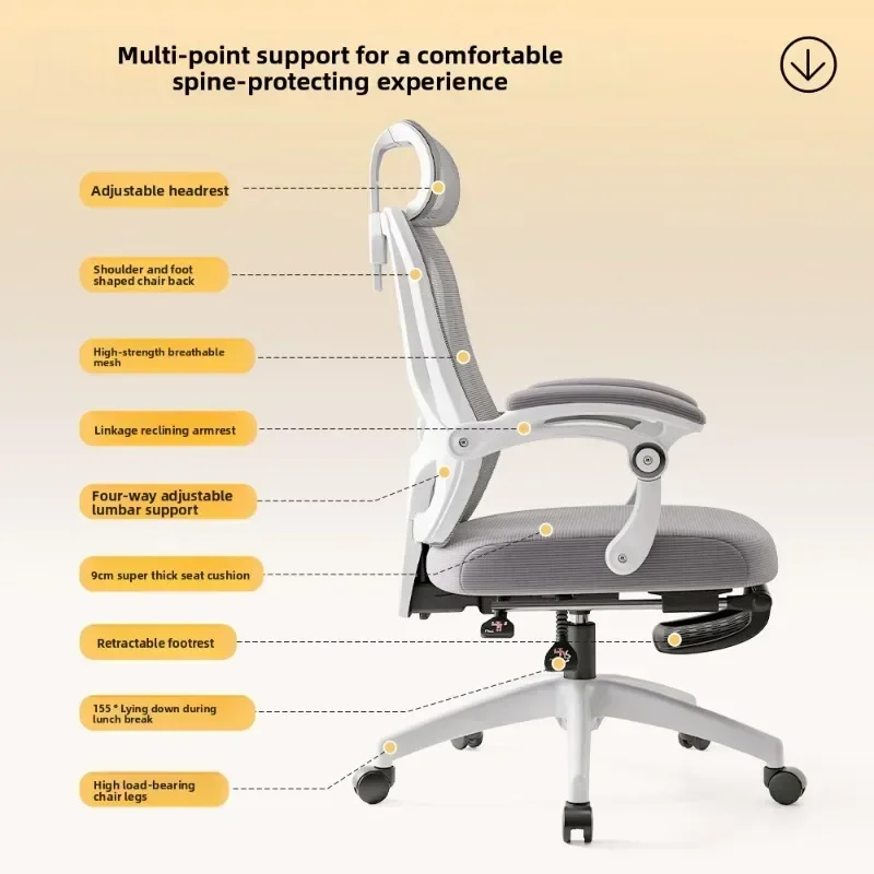 New Model Computer Chair, Office Chair, Reclining E-sports Chair, Lifting, Learning, Waist Protection, Ergonomic Chair