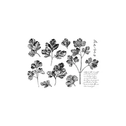 Liść transparentne wyraźne znaczki do majsterkowania Scrapbooking/tworzenie kartek zabawne materiały dekoracyjne A0304