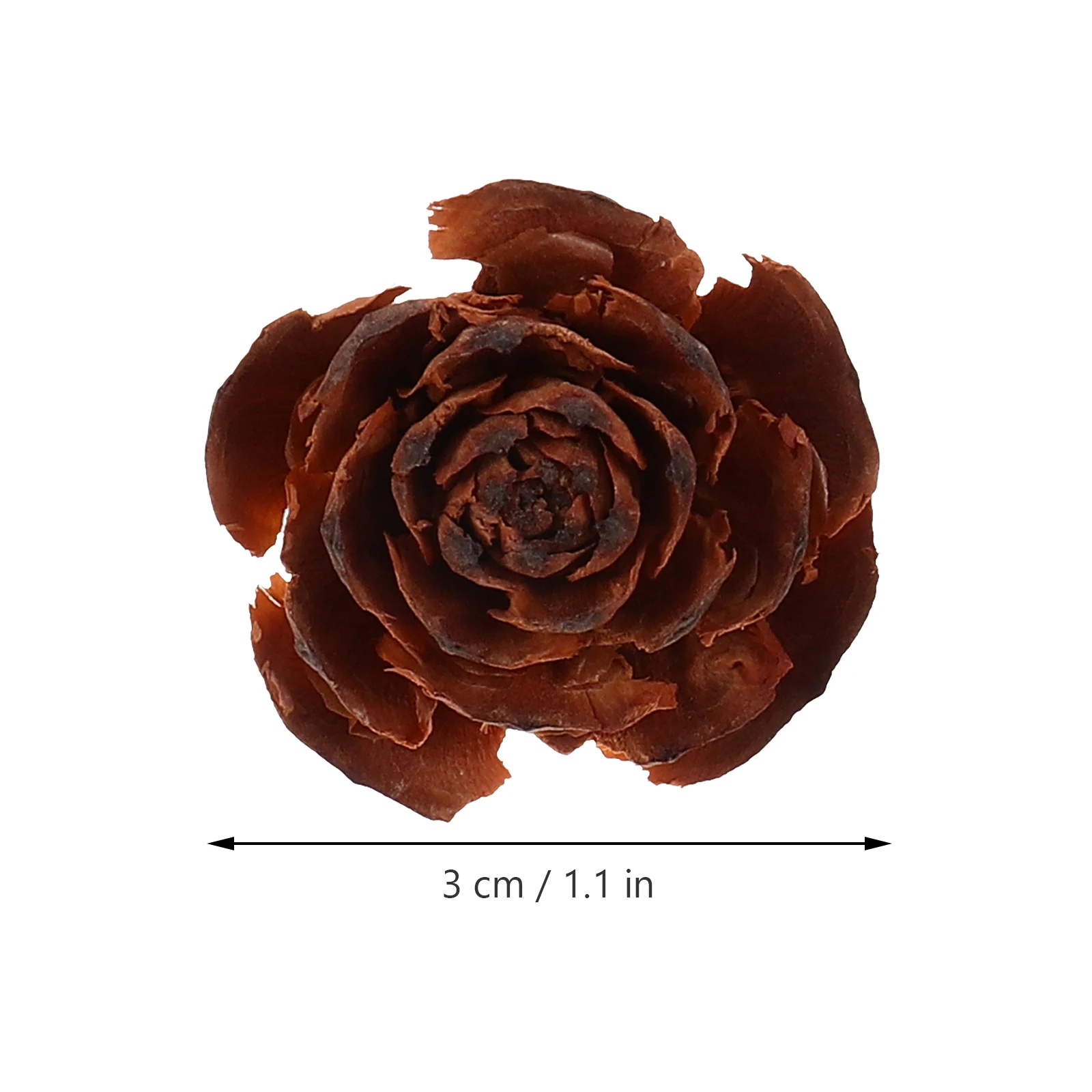 10Pcs Dry Flowers Material Natural Dried Flower Specimen DIY Crafts Supplies for Handbook Phone Case Resin Decoration