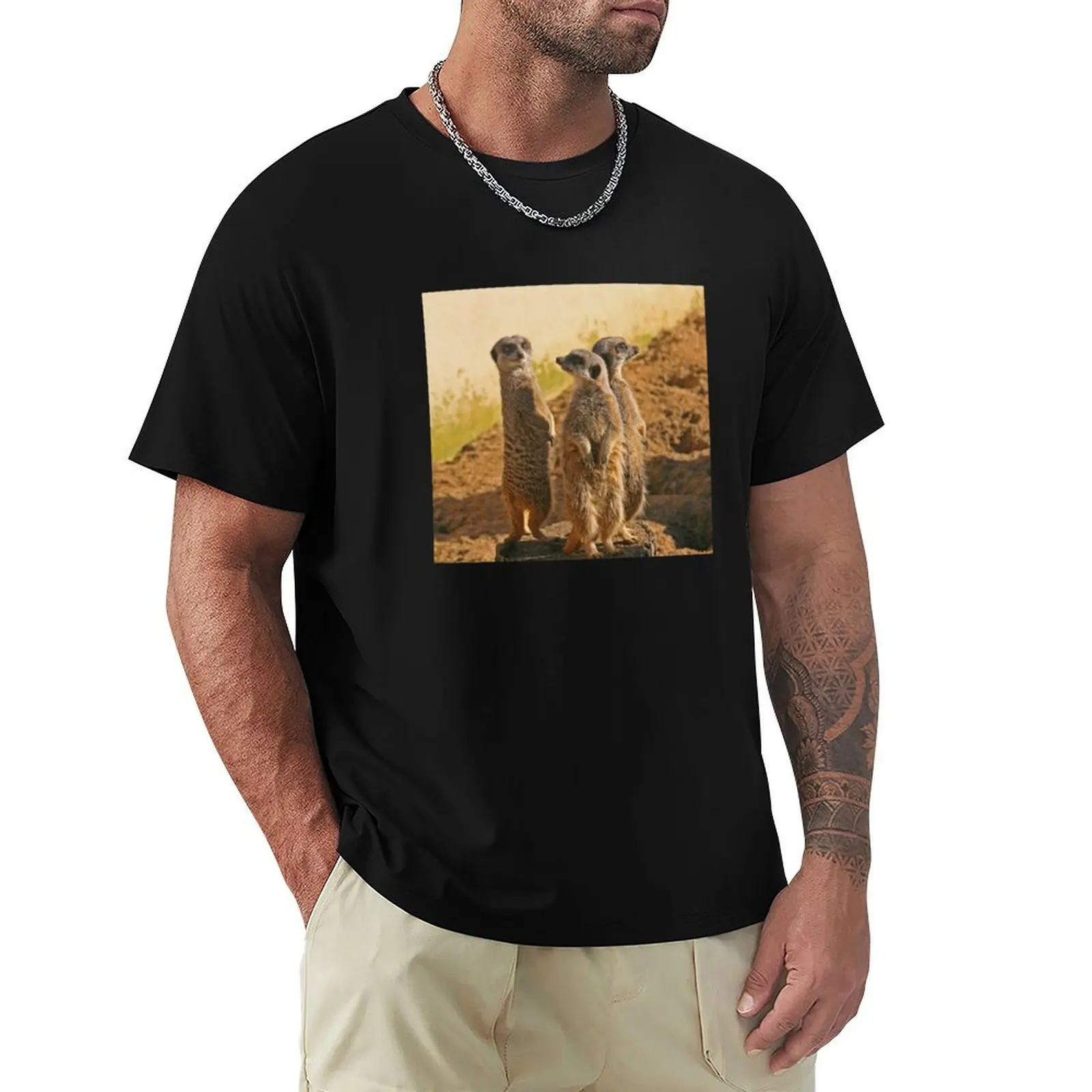 

Compare the Meerkats T-Shirt summer top new edition oversize t-shirts man kawaii clothes Men's t shirts