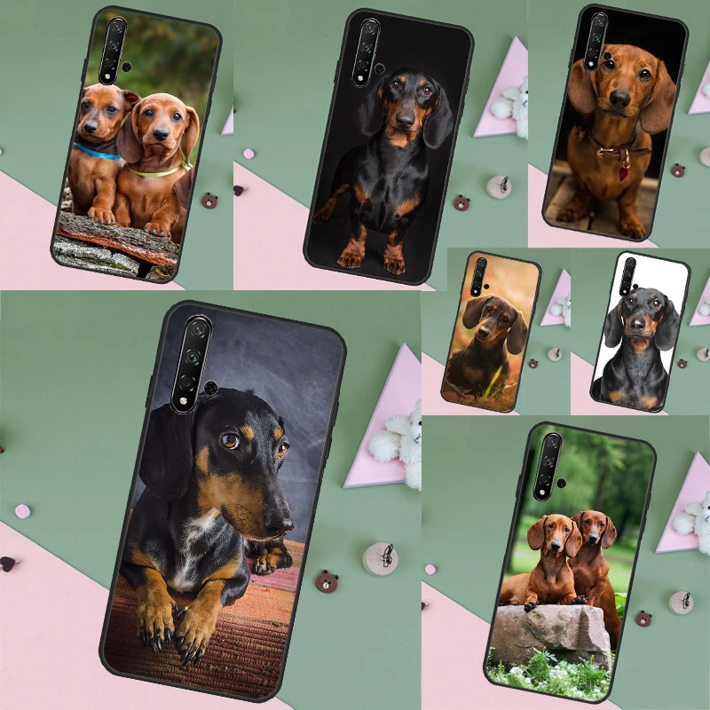 Dachshund Dog For H… - image