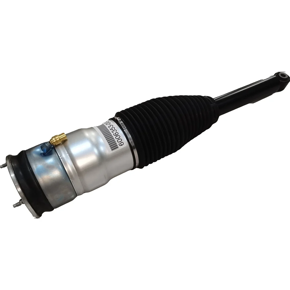 HINTERER LUFT-Stoßdämpfer, passend für TESLA MODEL S (5YJS) 2012–2016, 6006352-00-C