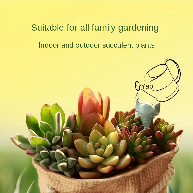 Succulent plant eublastins promote bud burst bud flower fertilizer plant nutrient solution 600ml