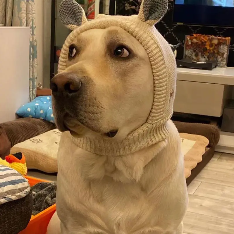 Dog hat winter medium and large dog Labrador golden retriever funny head cover warm pet puppy big dog ears