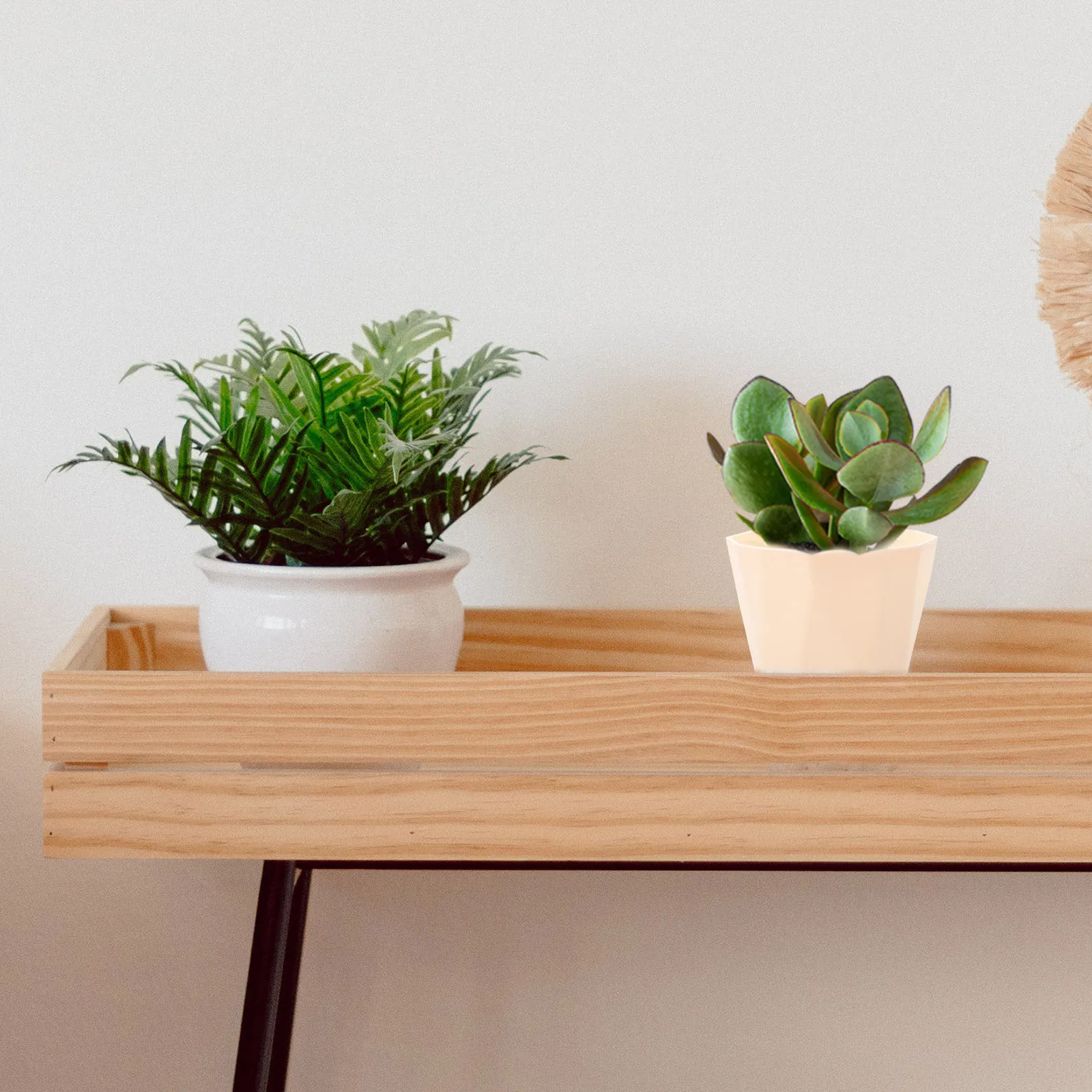 

1Set Degradable Flower Pots for Planting Basins Natural Texture Planter Bonsai Pots Home Garden Indoor Plants Accessories