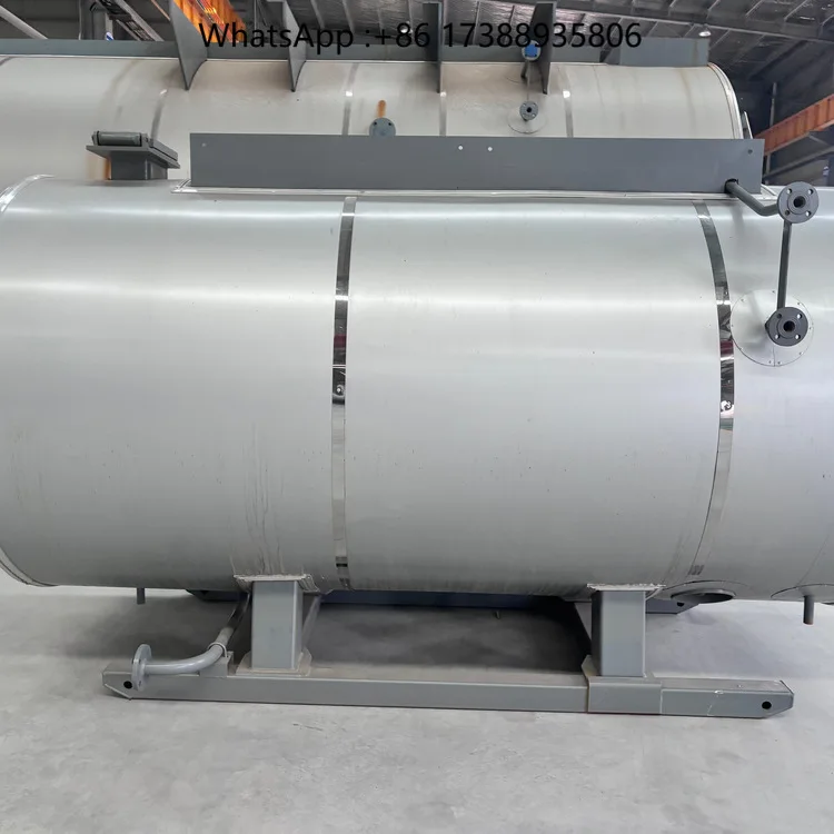 Oil Steam Generator Commercial Steam Equipment for Central Kitchen Project