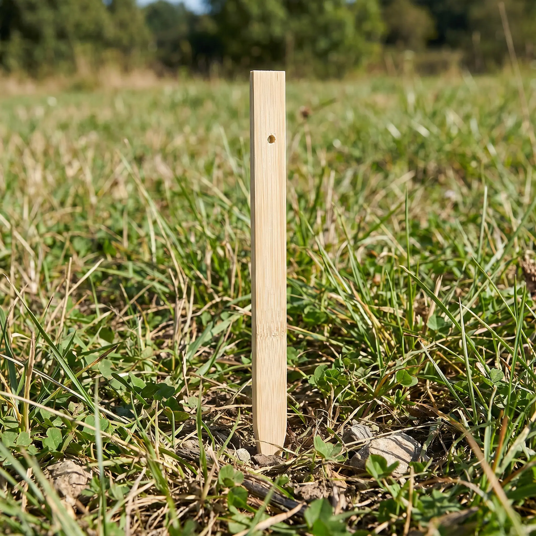 30Pcs Bamboo Survey Stakes 9.8 Inch Pre-Drilled Holes Utility Marking Stakes Construction Landscape Garden Labels