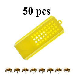 50PCS Plastic Flat Shape Transport Cage Insectary Bulter Catcher Cage Trap Flat Shape Requeening To Bee Colony Beekeeping 50PCS