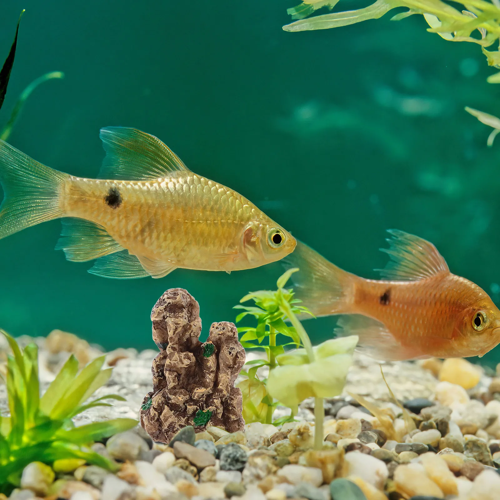 

Stone Resin Aquarium Rockery Decorations Hideout Betta Cave Ornament Micro Landscape Fish Tank Rocks Rock Formation Natural