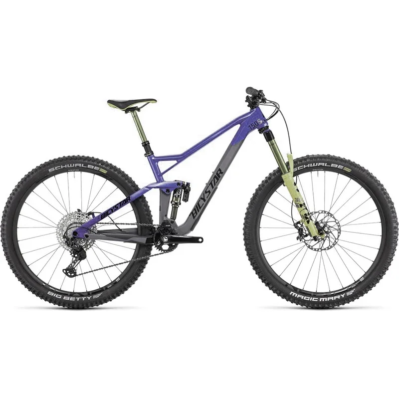 Bicicleta de montanha variável de 10 velocidades para adultos, MTB Carbon Frame, 29er Full Suspension Bike, Suspensão completa, Novo, 12 velocidades