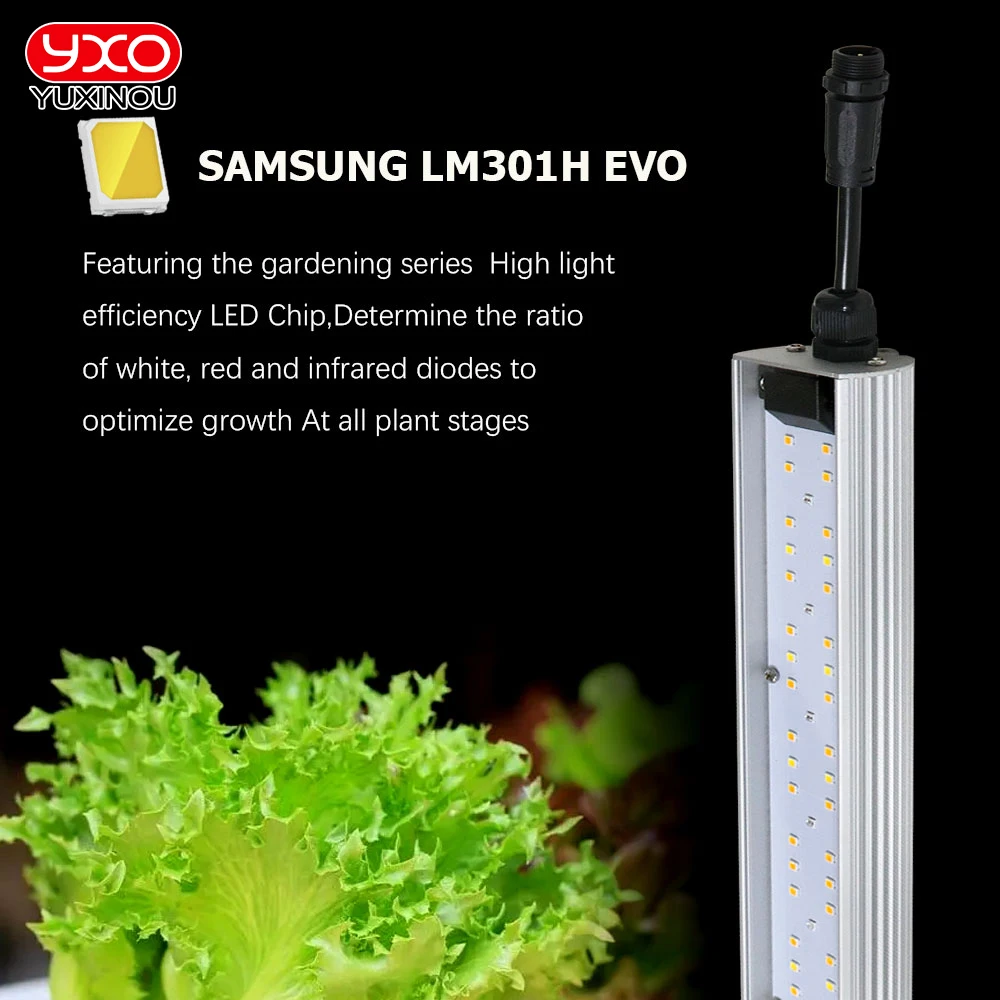 Full Spectrum LED Grow Light Samsung LM301H EVO+High Brightness Growing Lamps Sunlike For Greenhouse Plant Growth Lighting