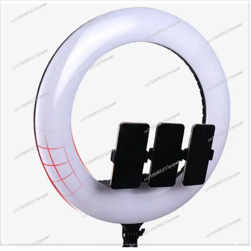 

21 Inch Circular Light with Tripod and Phone Holder, 3000K-6000K Dimmable Dual Color LED Ring