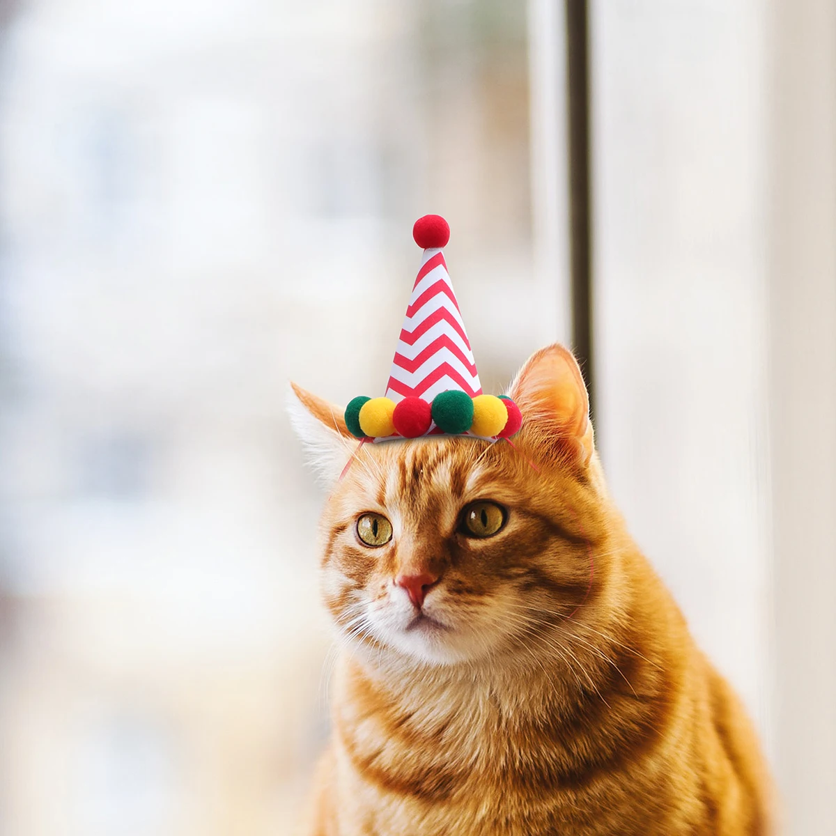 

Pet Hat Party Decoration Hat Cat Pointed Hair Ball Dog Party Hats Funny Headgear Birthday Party Decoration Supplies