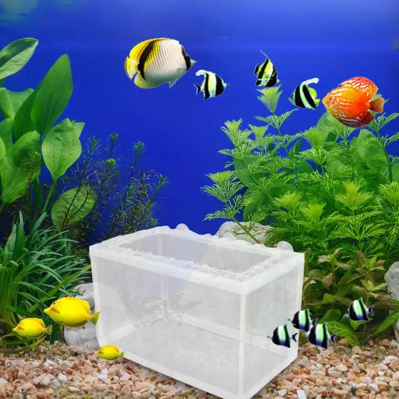 Fish Breeder Box DIY Aquarium Hatcher Mesh Box Juvenile Fish Separation Net Tank Incubator Box Fish Fry Hatchery with Suction