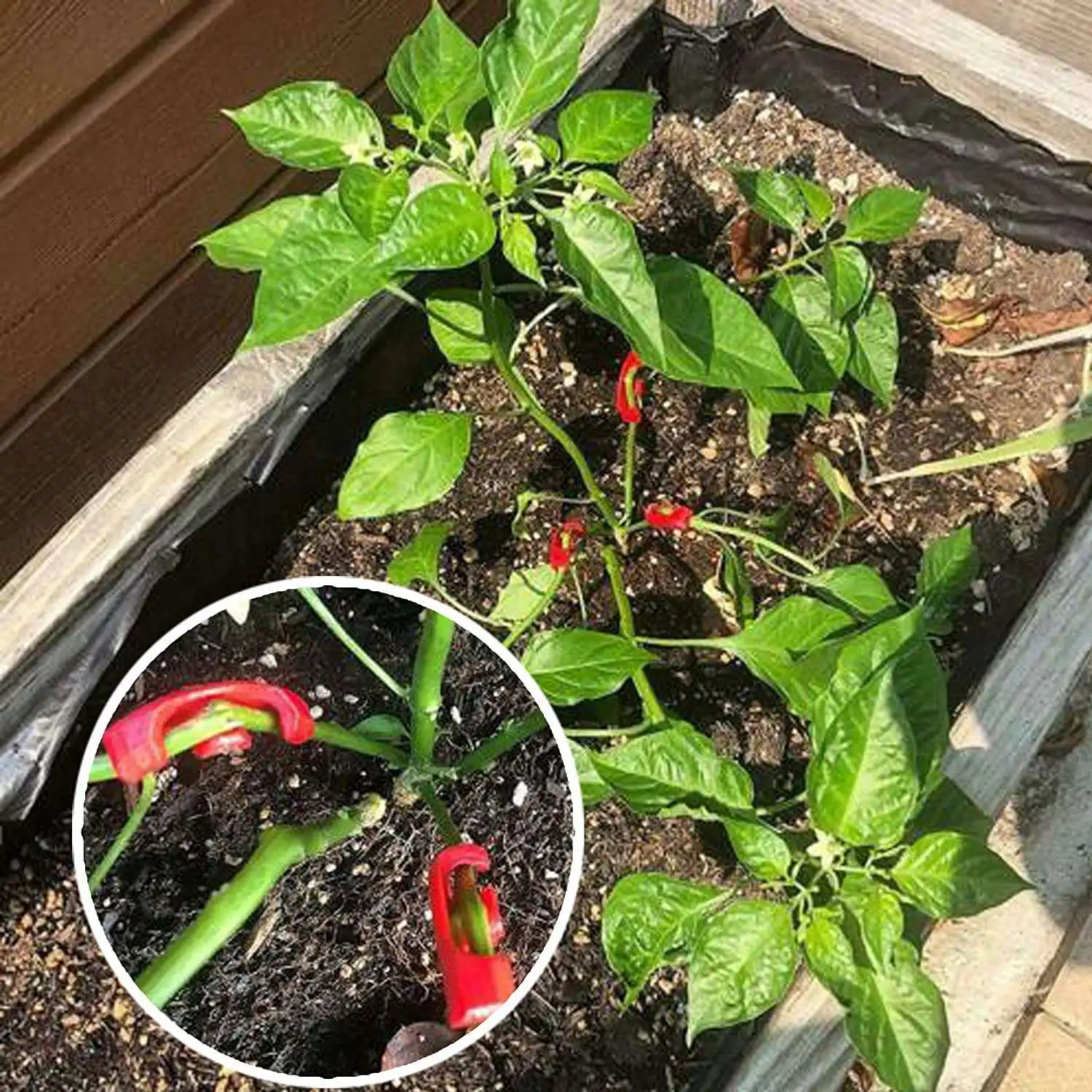 90 Degree Plant Bender, Plant Trainer For Low Stress Training Growth Kit, Control The Way Your Plant Grows-AT36