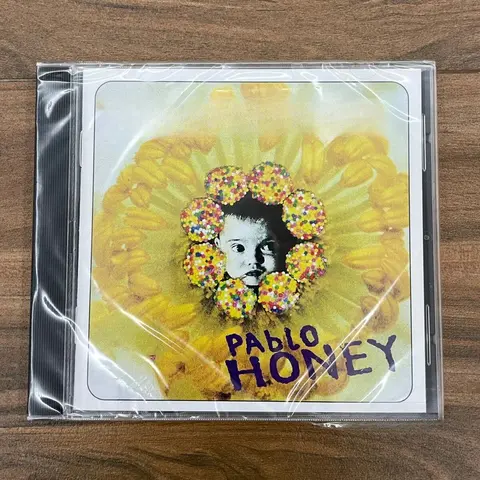 90s Alternative Rock Milestone Album CD, A Pioneering Work That Shaped The Genre, with Timeless Tracks That Remain Influential