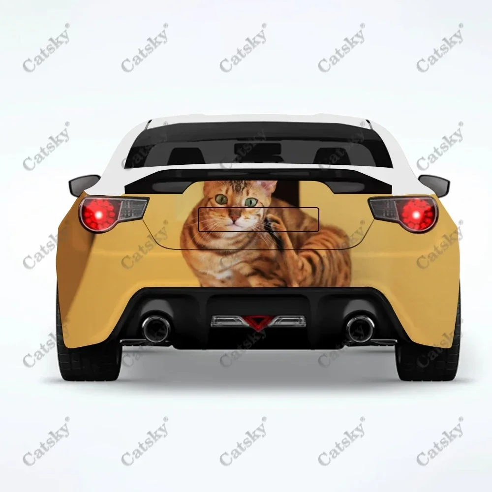 

Bengal Cat Car sticker rear car rear appearance modification package suitable for car truck sticker