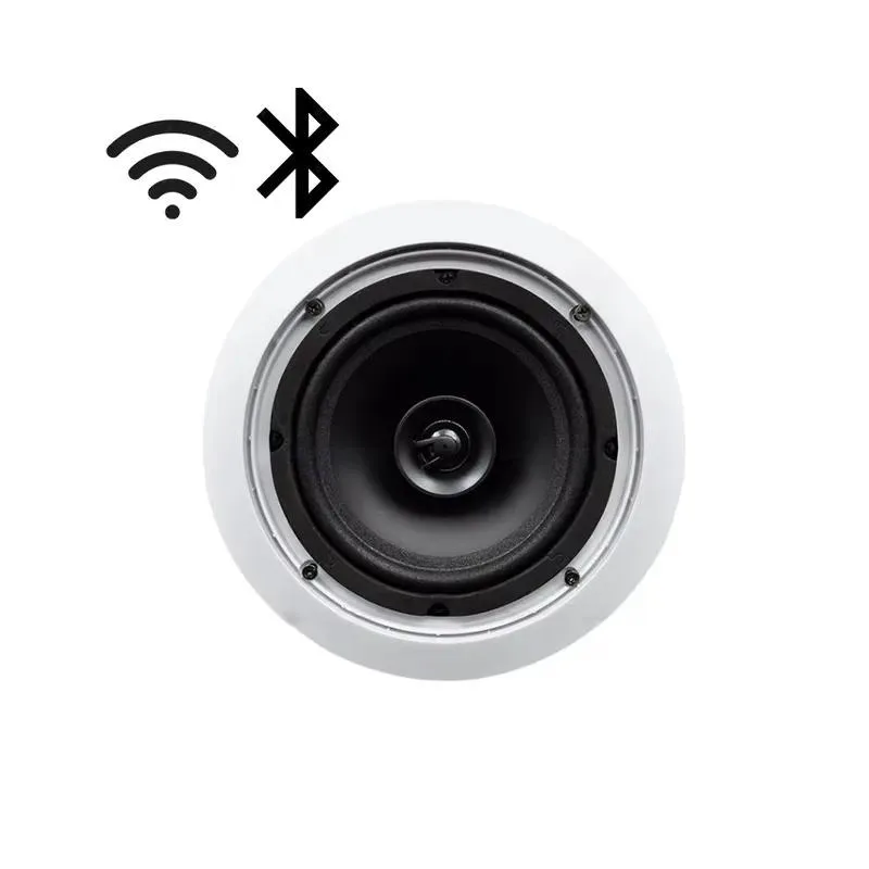 Single Main Speaker Digital Class D WiFi Wall Mounted Smart Audio Music Player Ceiling Speaker