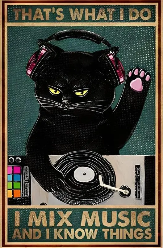 That's What I Do I Mix Music and I Know Things Black Cat Cat Music Dj Art Wall Art Metal Signs Decoration for Garage Cafe B sign