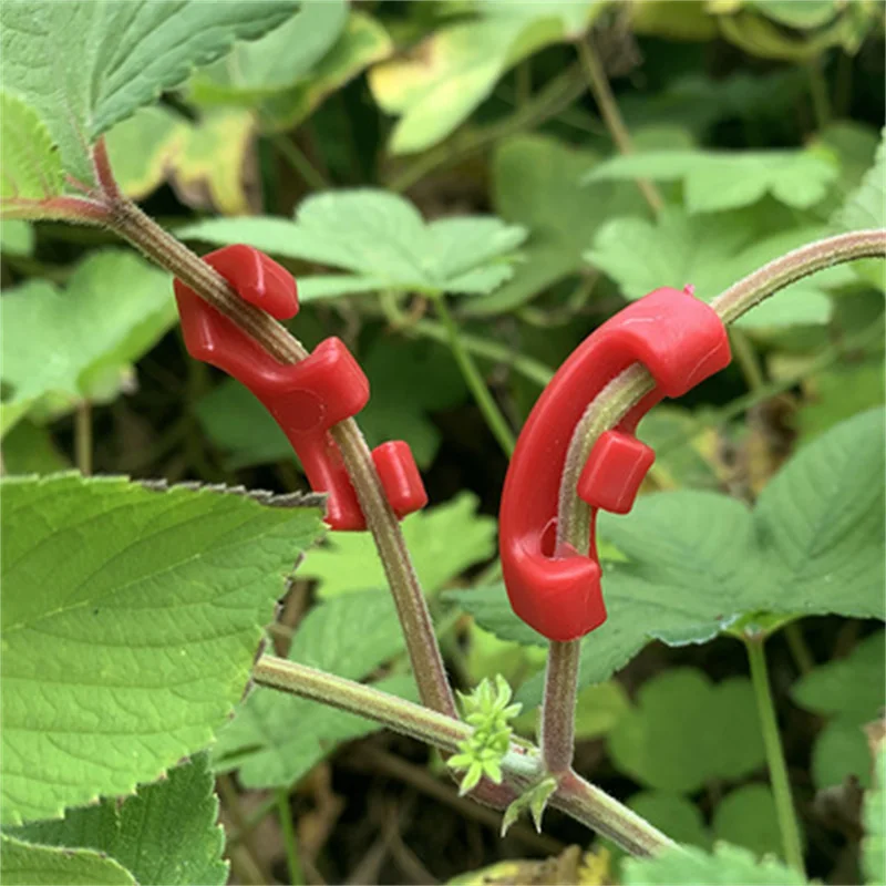 10PCS/Set Plant Benders 10pcs Trainer The Growth of Plants Bending Clips Twig Clamps Growth Manipulation for Low Stress Control