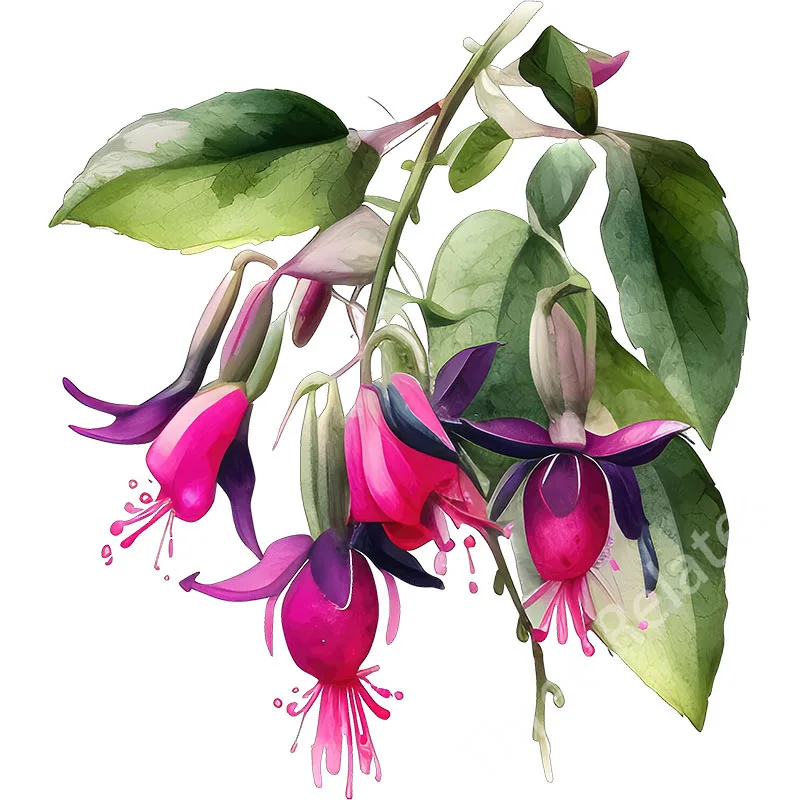 Three Ratels QCF302 Beautiful Fuchsia hybrid Hort flower branch home decoration wall sticker