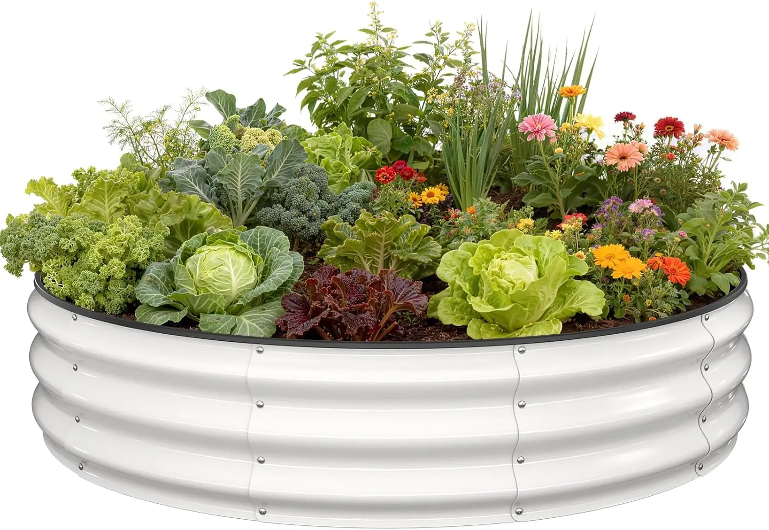 

Металлическая приподнятая грядка 4x4x1 фута для овощей, цветов и трав, оцинкованный стальной ящик-клумба в цвете жемчужно-белый