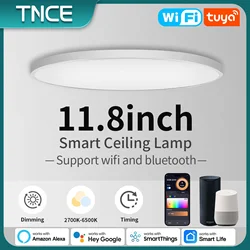 TNCE Tuya Ceiling lamp 12inch WIFI, 24w RGB Dimmable LED Ceiling Light for room, Smart life APP Bulb, voice Alexa Google Home