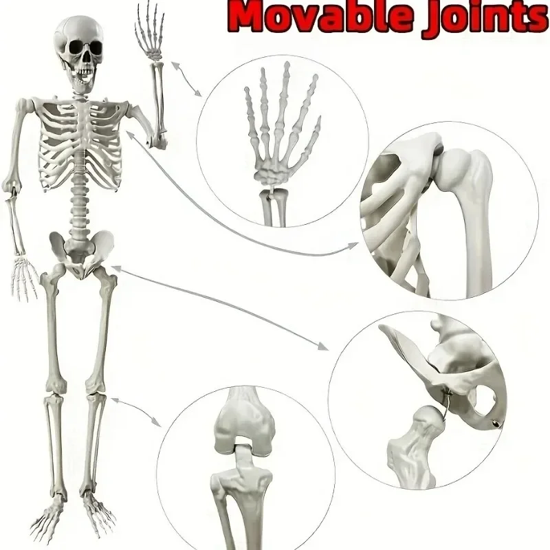 High Quality 90cm High-Quality Skeleton Model Decoration Fake Sculpture for Home Garden Haunted House Decorative Horror Theme