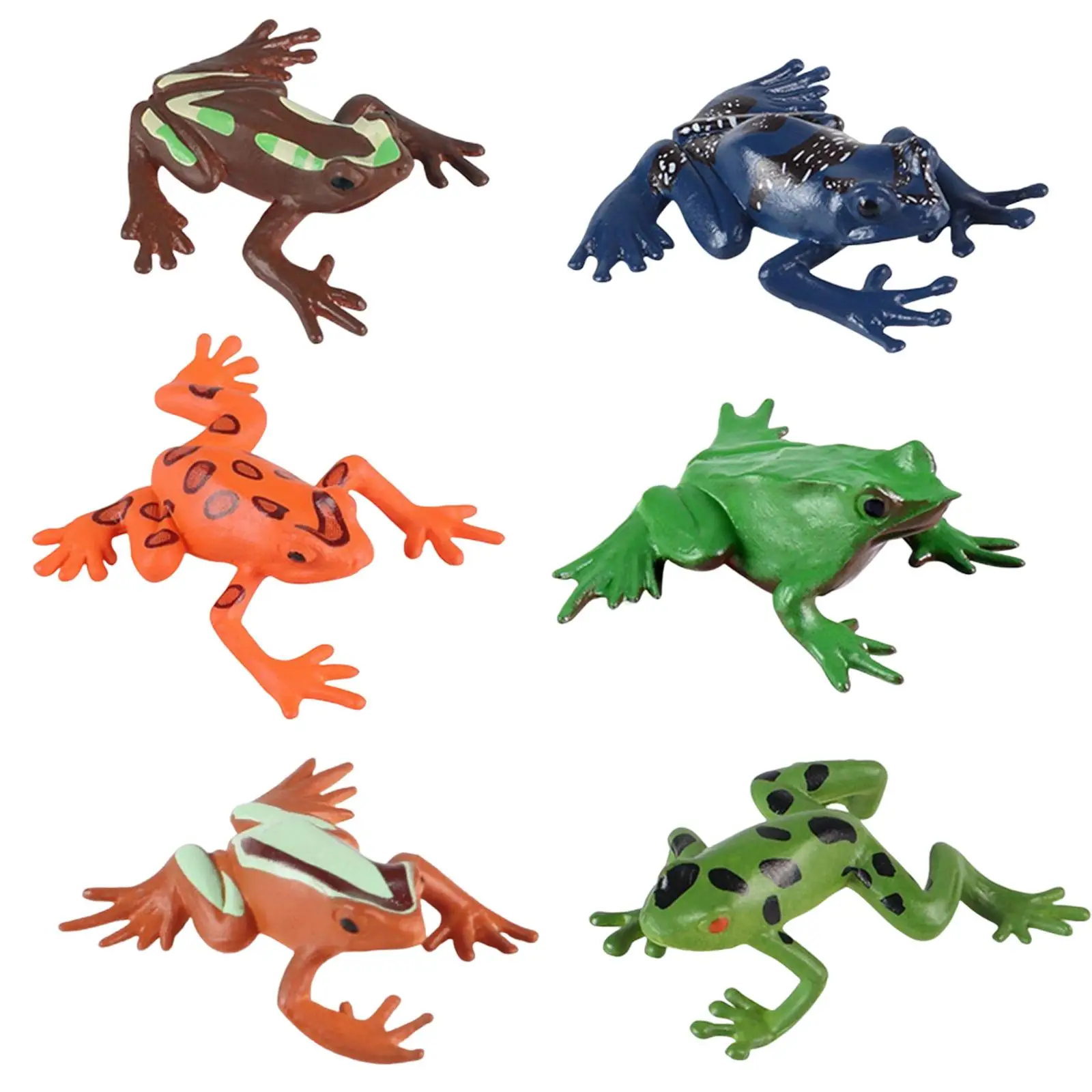 Simulation Animals Frog Wild Animals Frog Toy Lifelike Action Figures Model Jungle Frog Play Model Cycle Growth Model