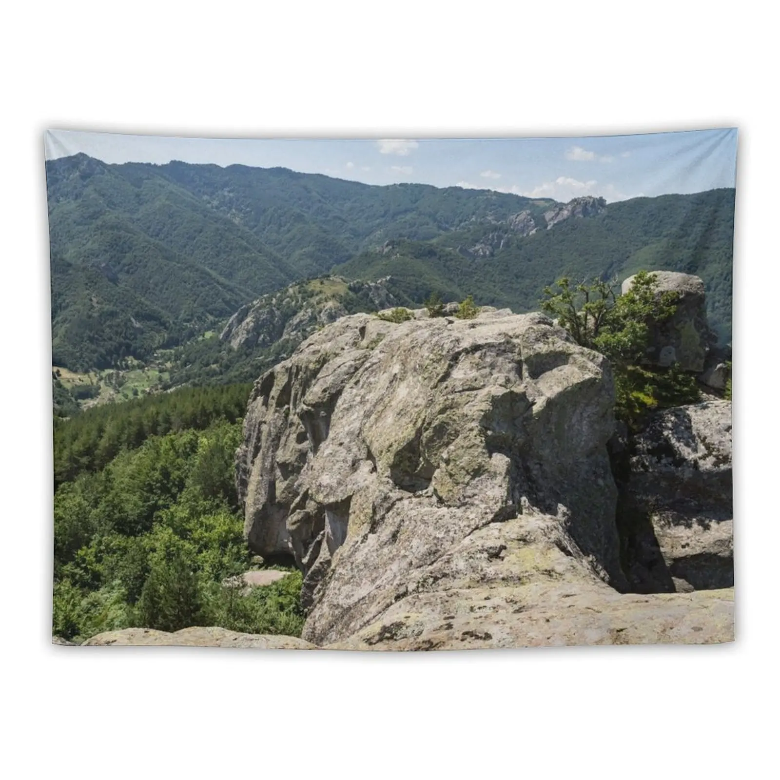 

The Spine of the Mountain - Rough Rocks and Vistas Tapestry Room Decoration Aesthetic Home Decoration Tapestry